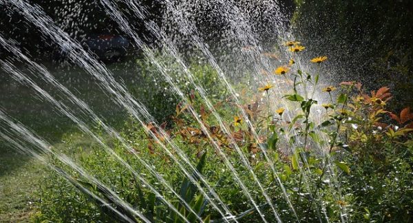 garden-irrigation